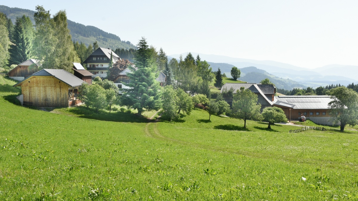 Am Hochplateau gelegen ist das Gästehaus Bischof oberhalb der Gemeinde Schöder