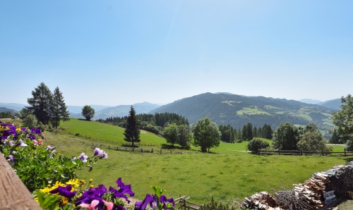 Natur pur. Ihr Urlaub zwischen Wälder und Wiesen im Gästehaus Bischof