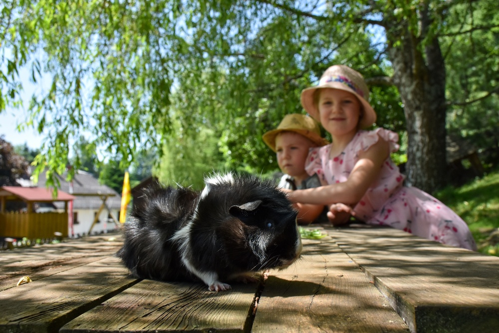 Urlaub am Bauernhof bei Familie Bischof in der Region Murau am Kreischberg